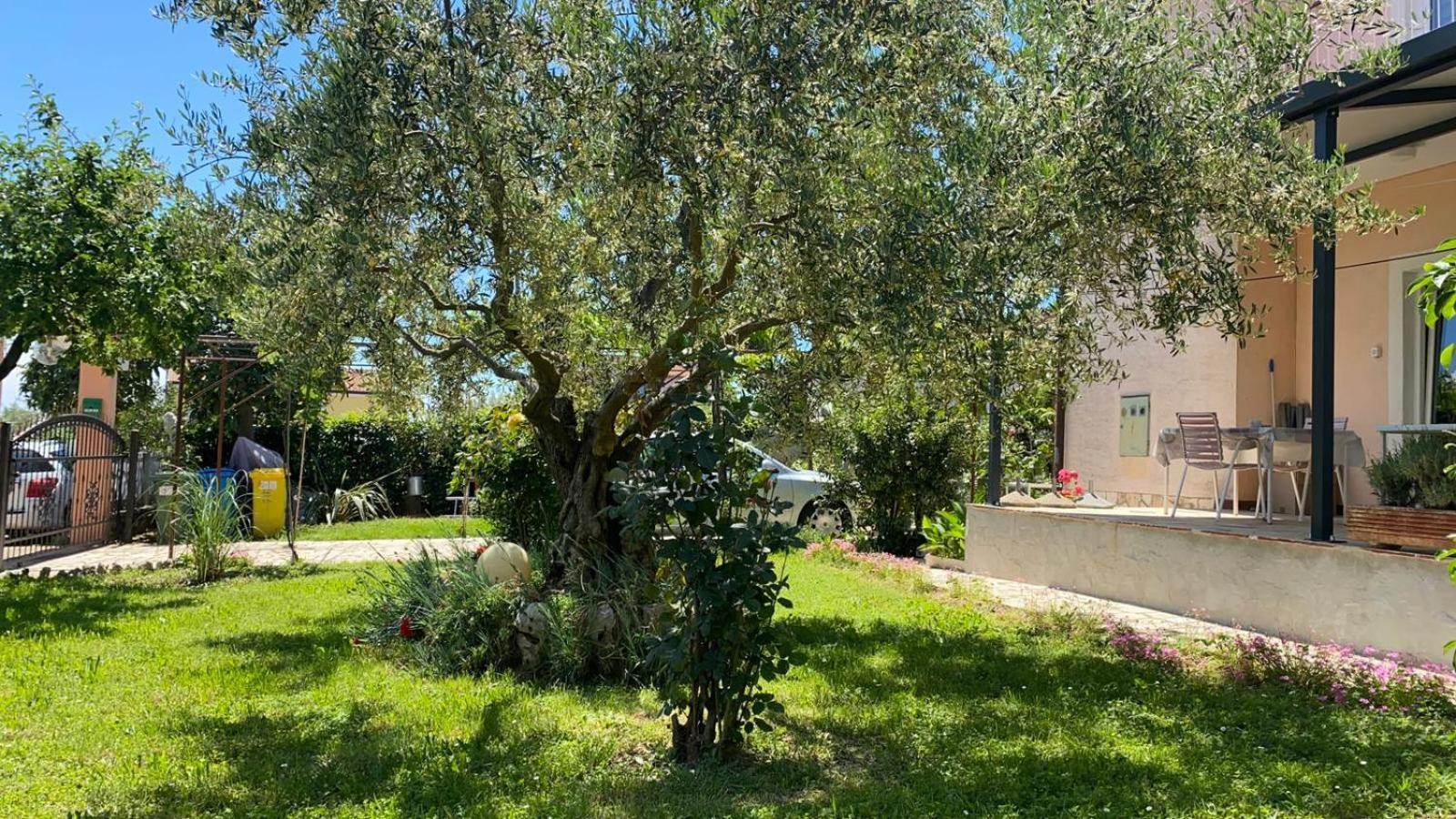 Apartment Gracijana Πόρετς Εξωτερικό φωτογραφία